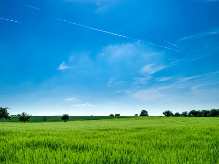 field landscape