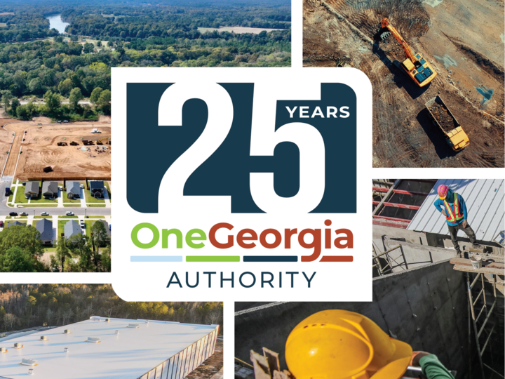 OneGeorgia Annual Report Cover