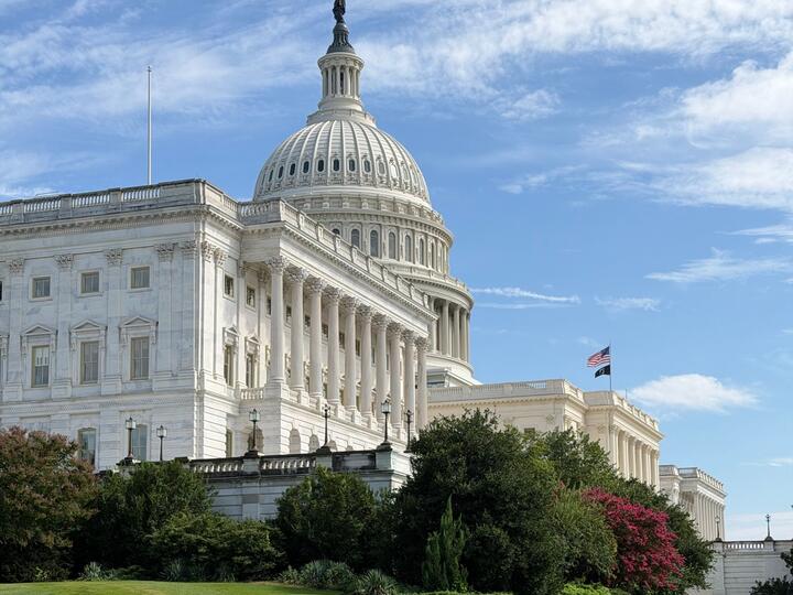 View of the United States Capitol Building with lush gardens.