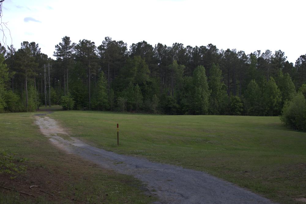 Browns Mill Battlefield field of green grass with dirt road surrounded by trees