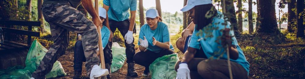 Volunteers clearing litter from a wooded area