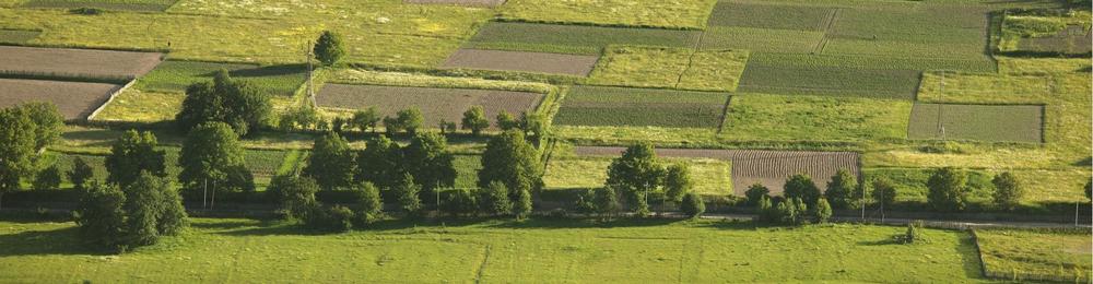 overhead view of farmland